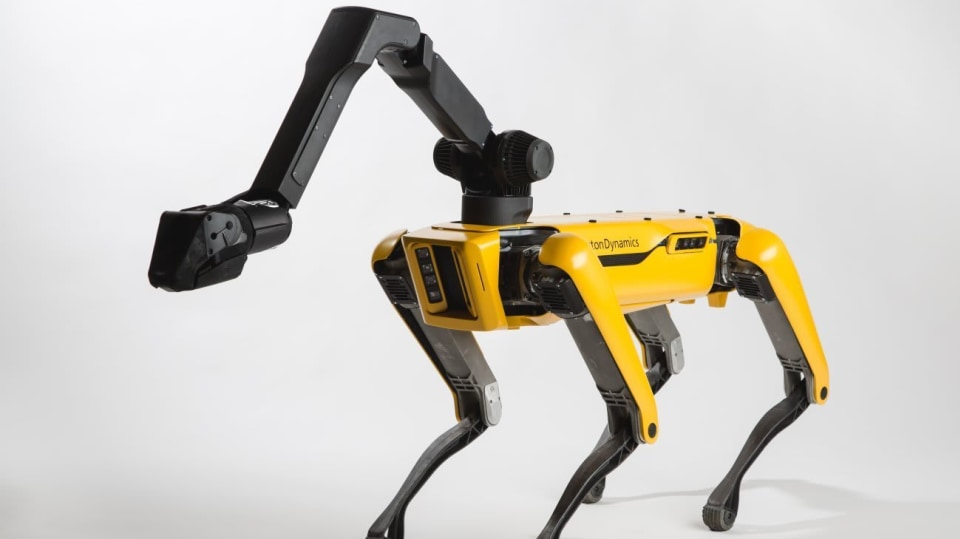 Robotický pes